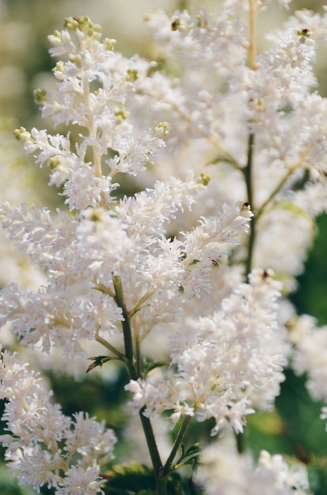 Photograph by Алёна Петрова