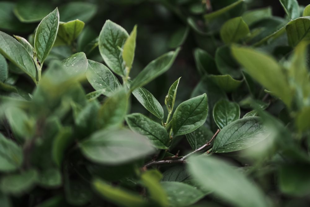 Photograph by Наталия Трофимова