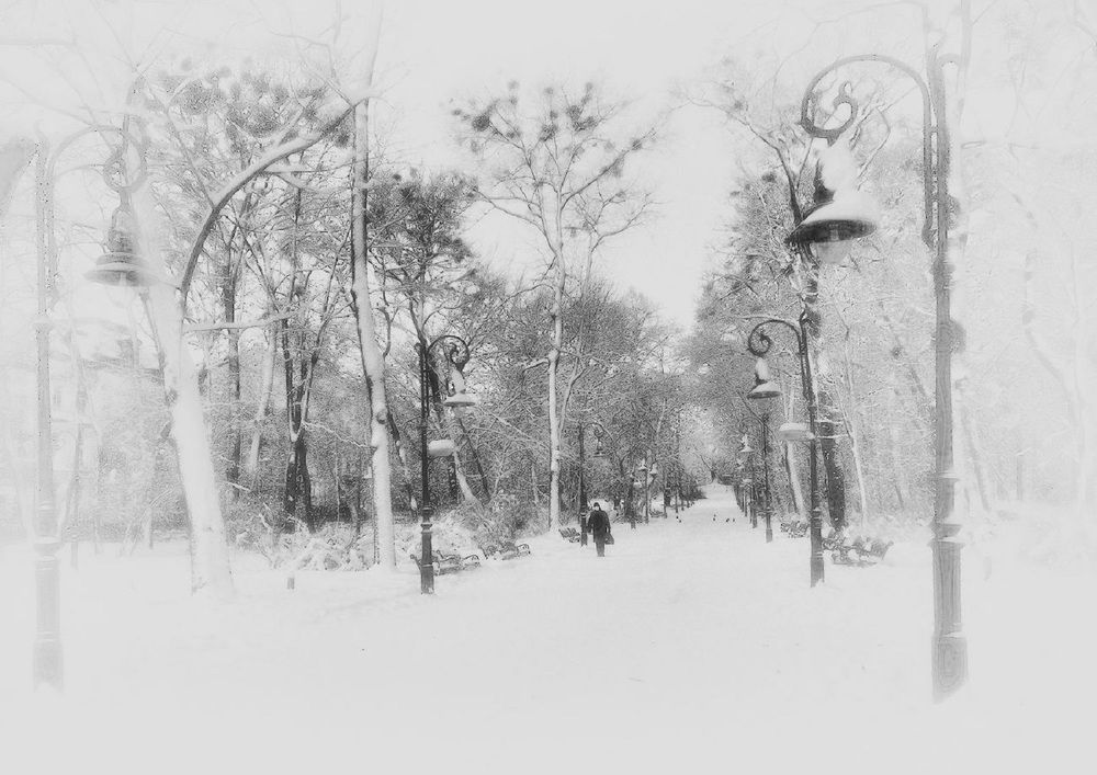 Photograph by Владимир