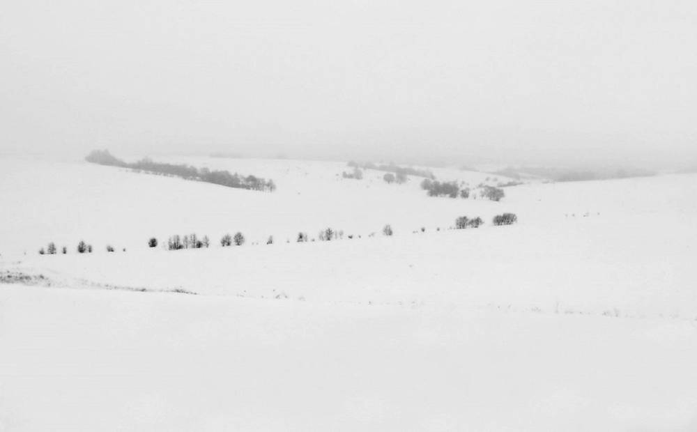 Photograph by Владимир