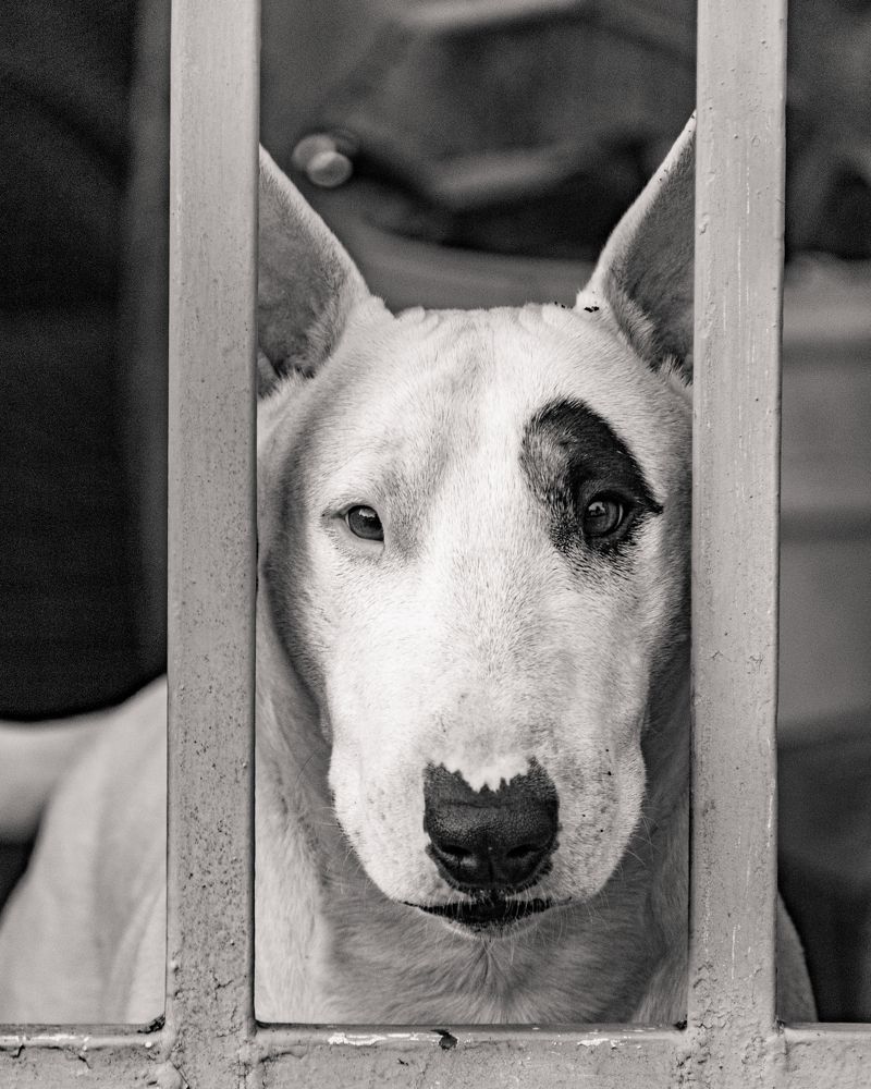 Photograph by Mauricio Santiago Boulogne