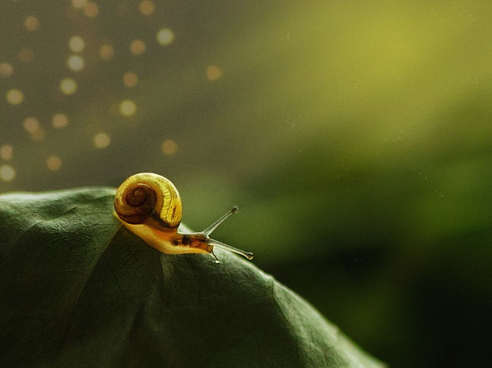 Photograph by Анна Селезнева