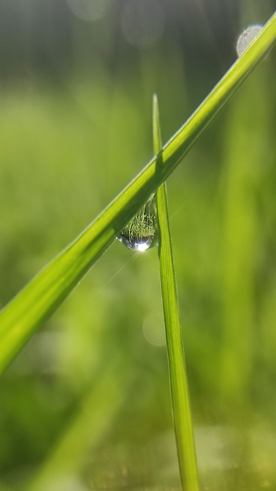 Photograph by Виолетта Клюева