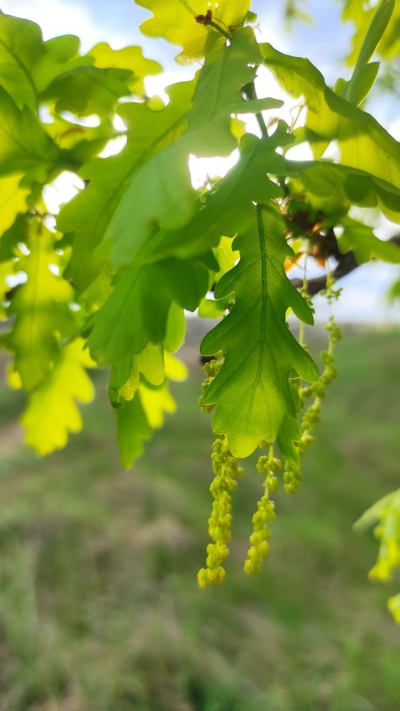 Photograph by Виолетта Клюева