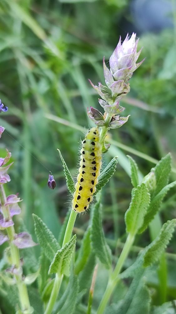 Photograph by Виолетта Клюева