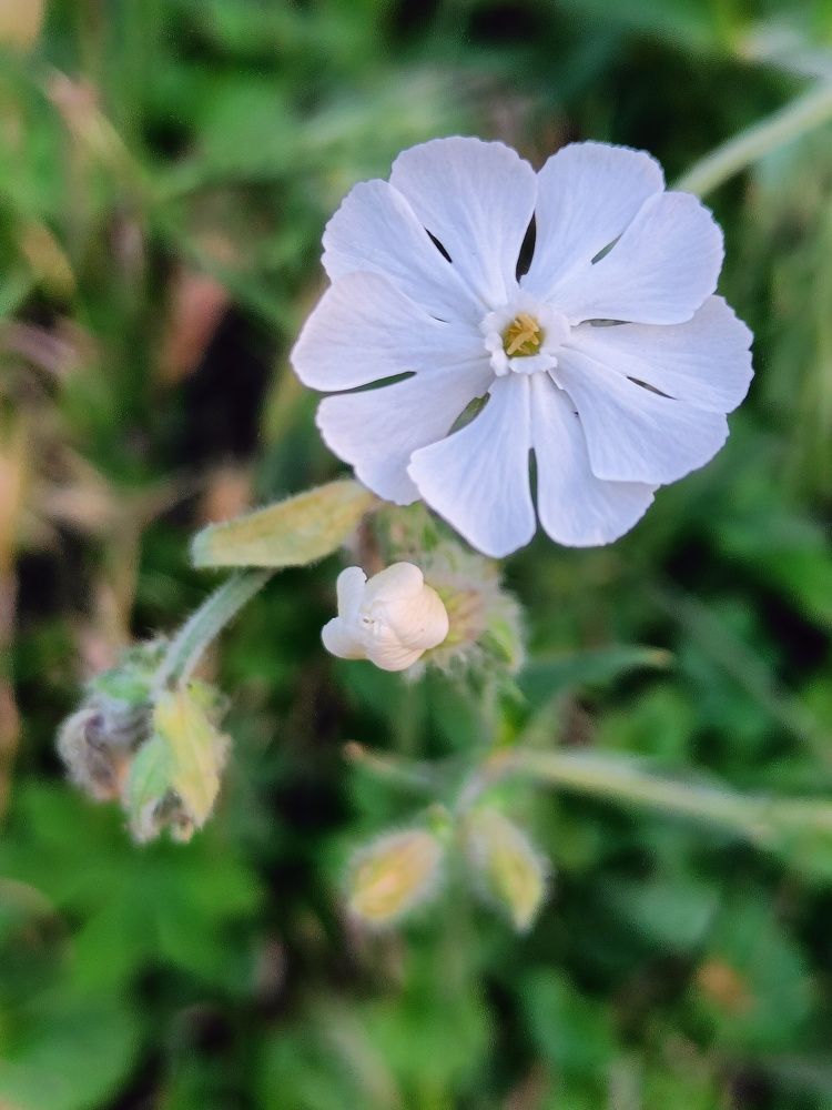 Photograph by Карина Слабкая