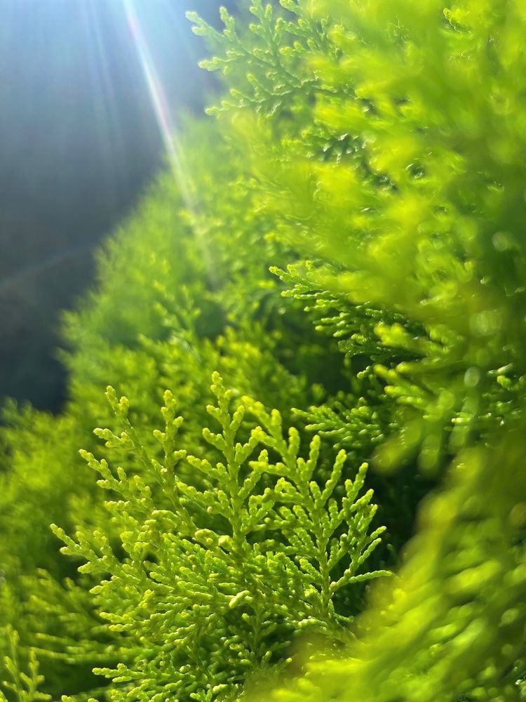 Photograph by Татьяна Волохова