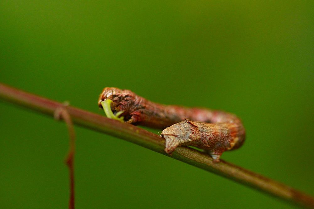 Photograph by Гагик Саркисян