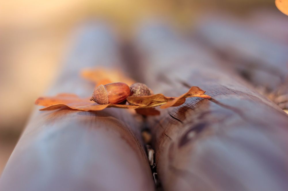 Photograph by Liudmila Pilets