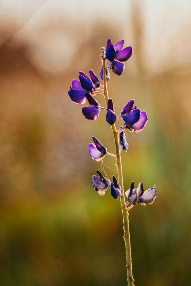 Photograph by Liudmila Pilets