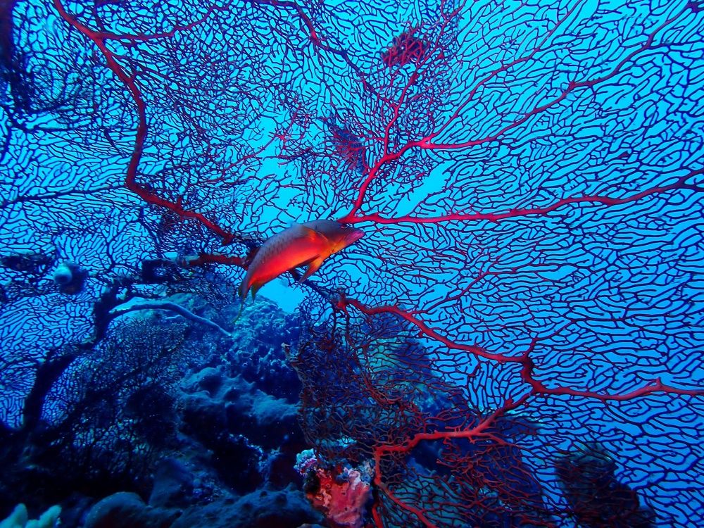 Photograph by Кирилл Леднев