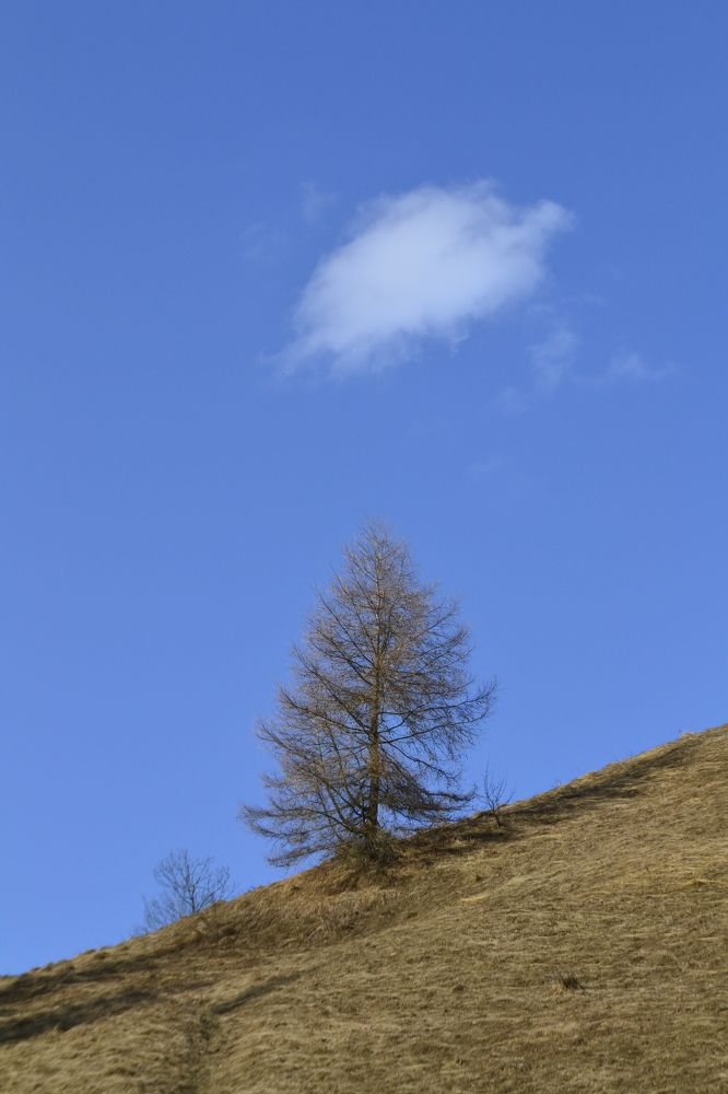 Photograph by Карина Слабкая