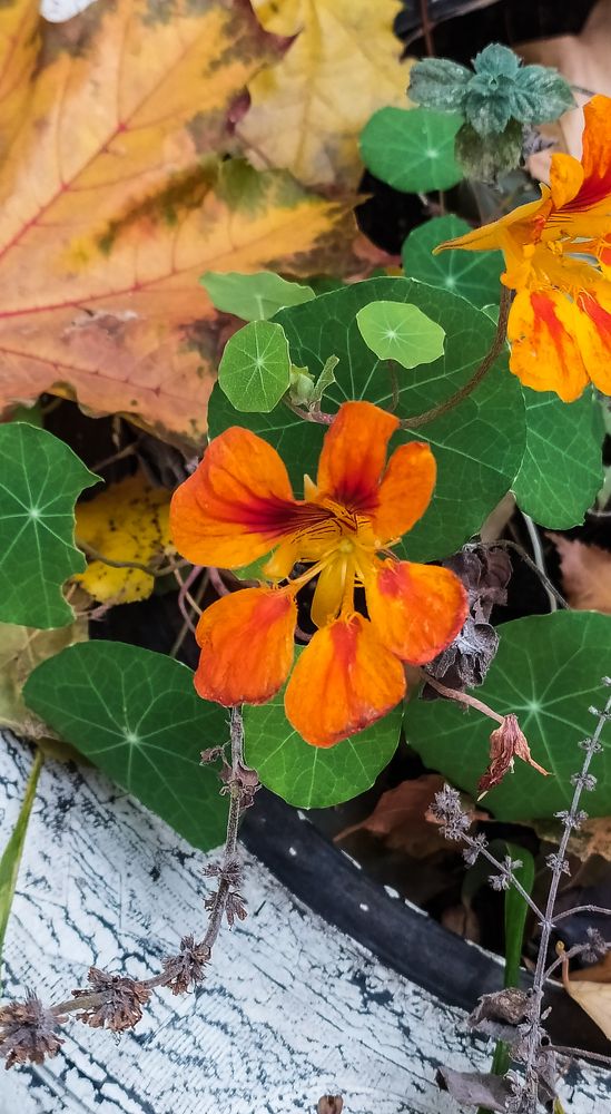 Photograph by Виктор Поверенов