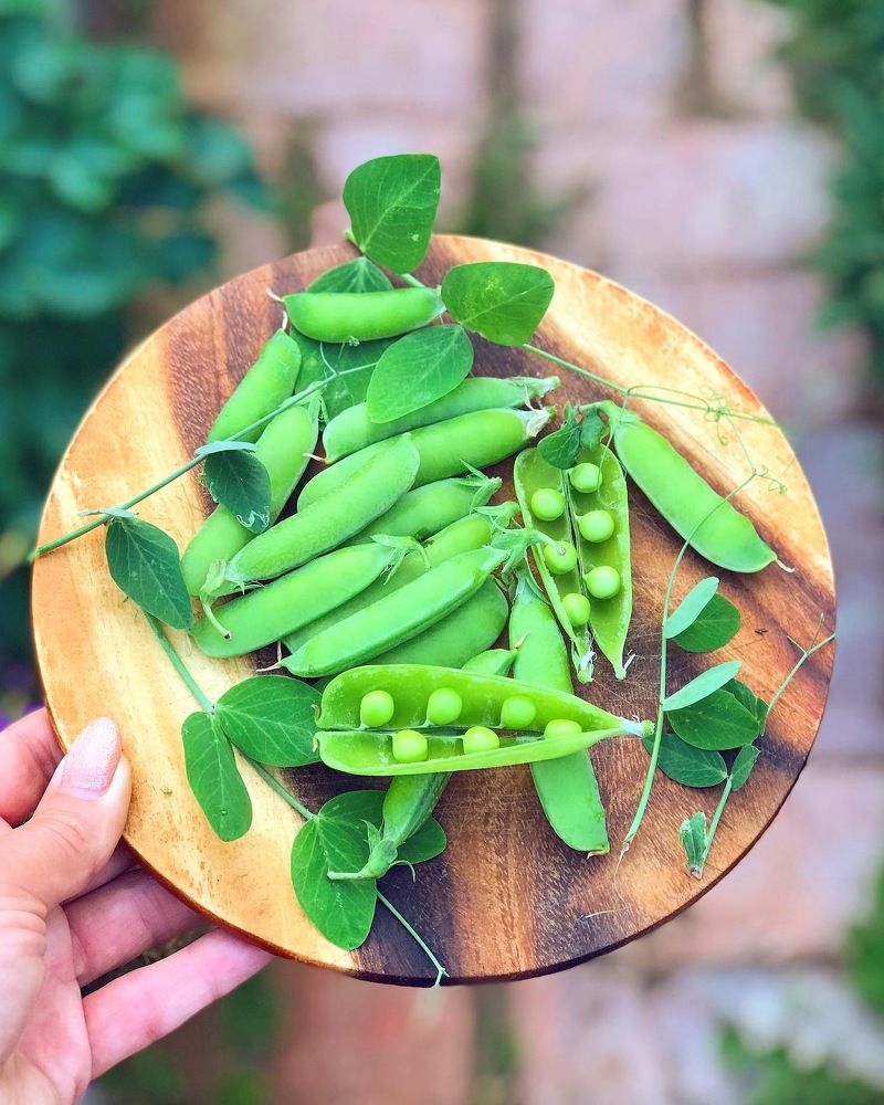 Photograph by Татьяна Волохова