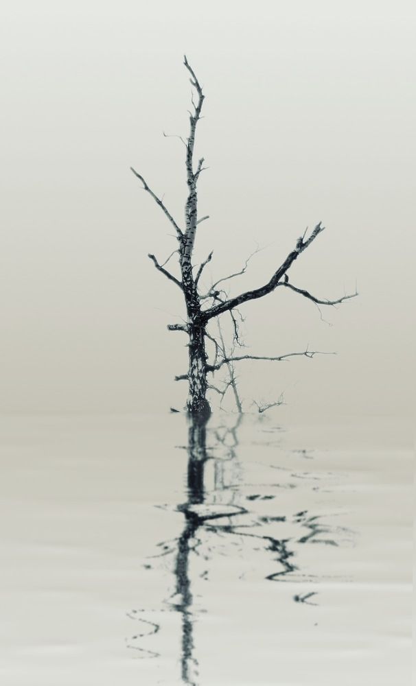 Photograph by Татьяна Мустафина