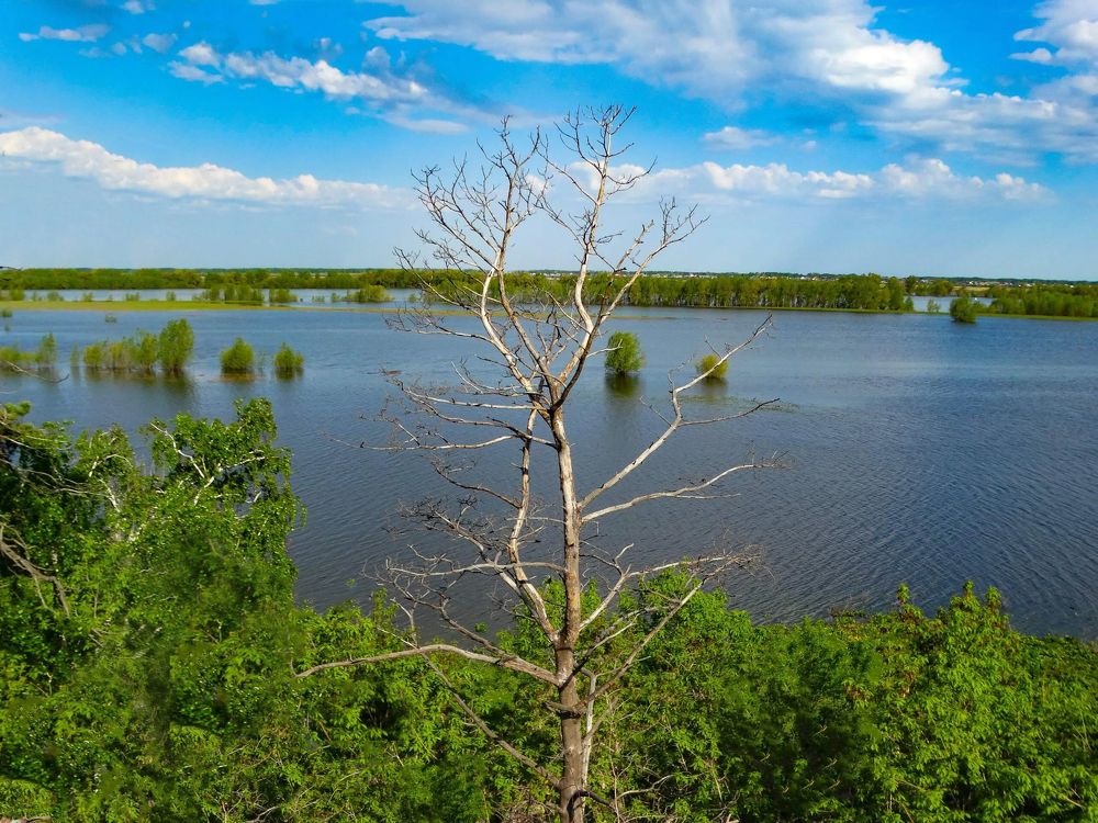 Photograph by Анжелика Трошина