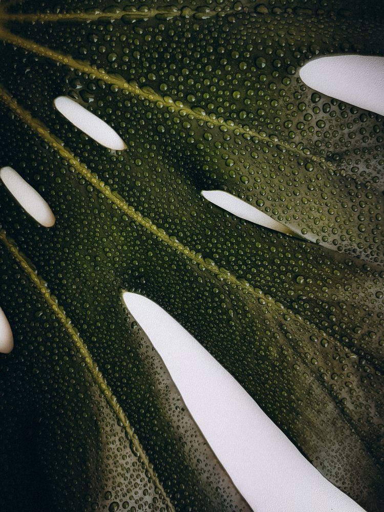 Photograph by Анастасия Дынина