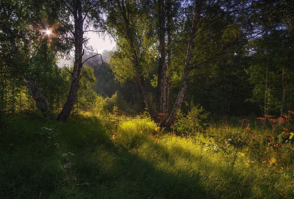 Photograph by Чичкин Валерий