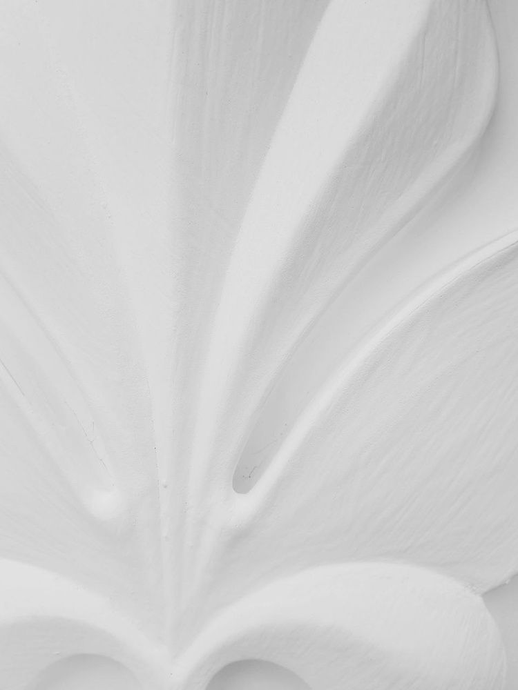 Photograph by Анастасия Дынина