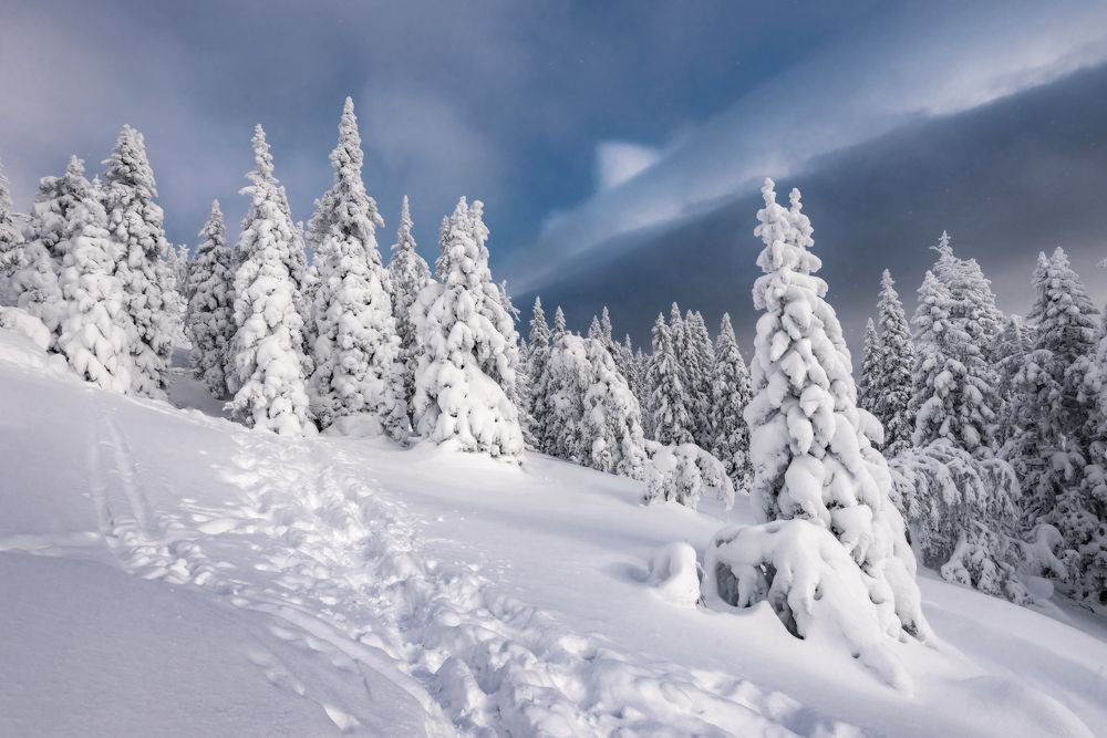 Photograph by Соколова Елена