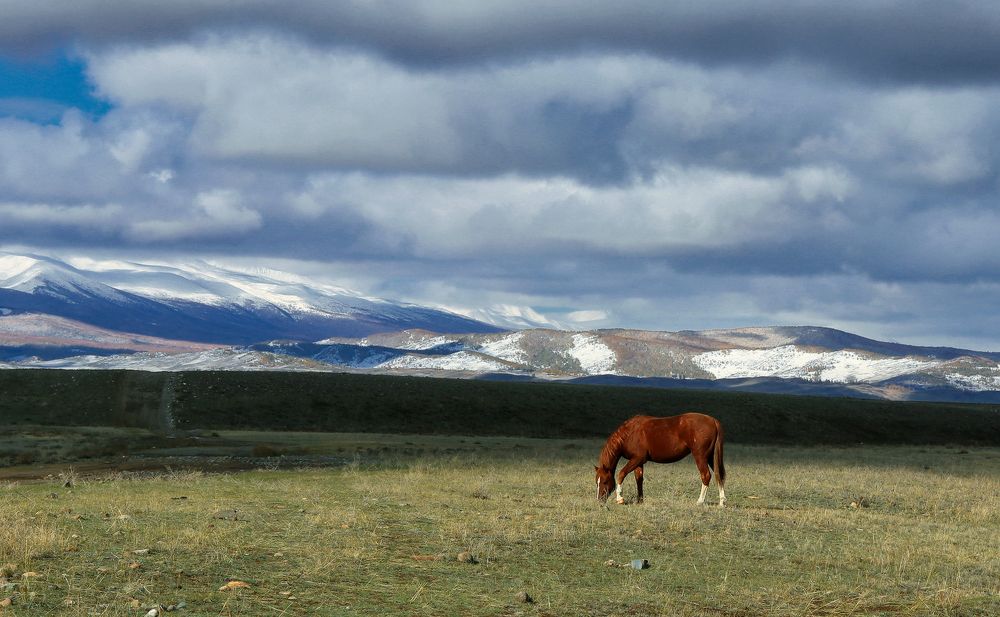 Photograph by Галина Хвостенко