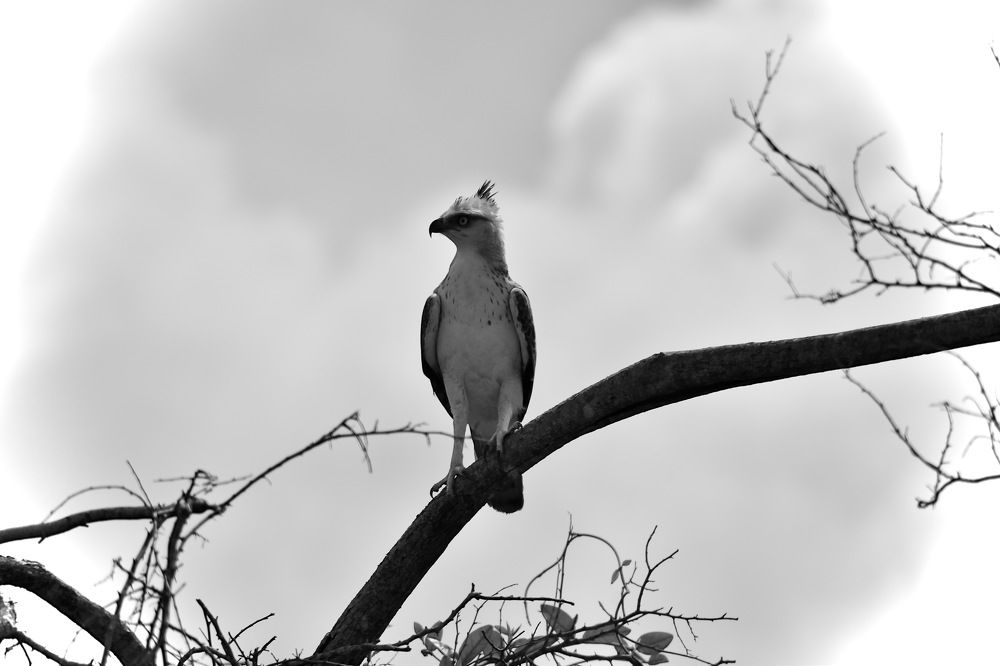 Photograph by Bimali Fernando