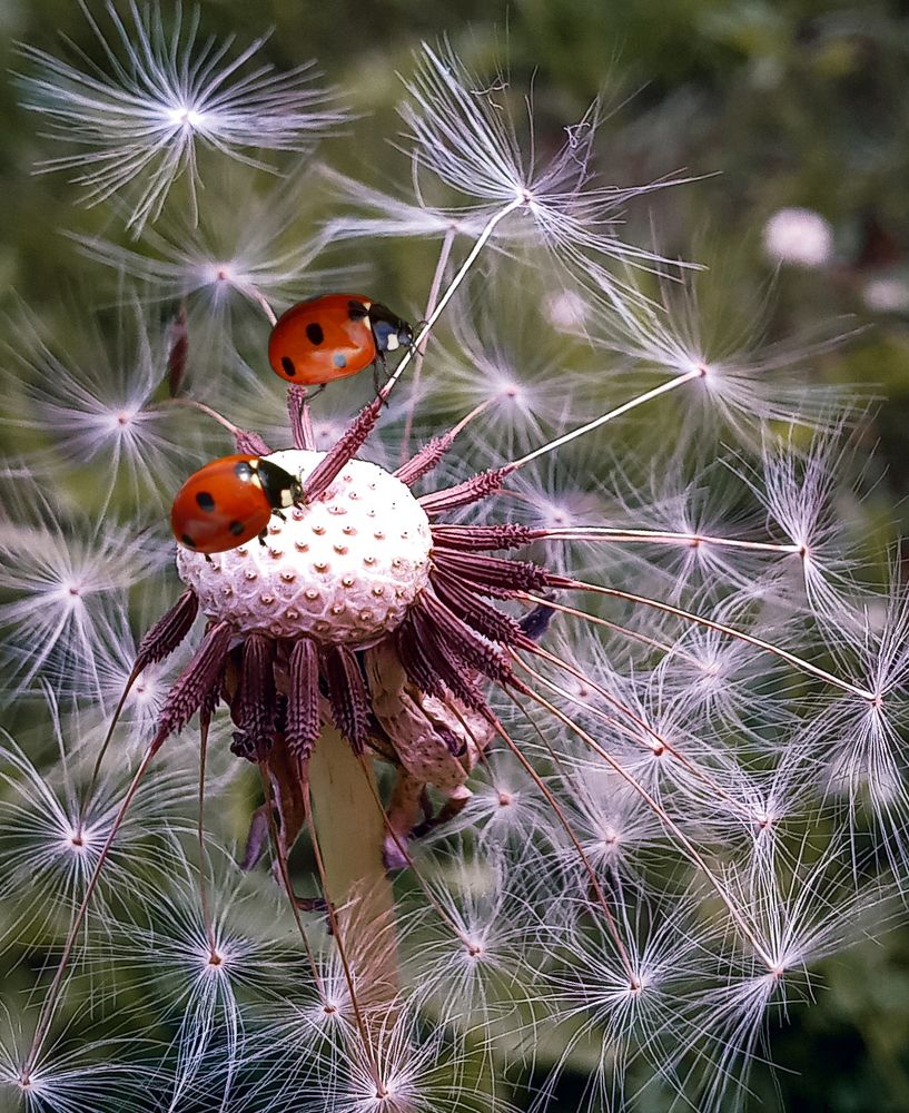 Photograph by Люда Яковлева