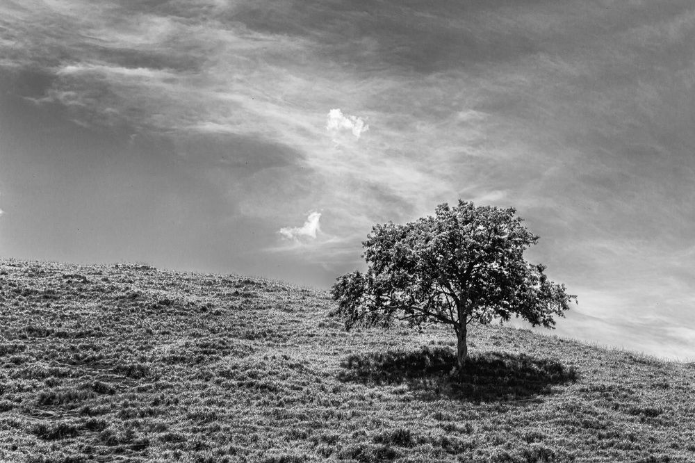 Photograph by CARLOS KIFFER