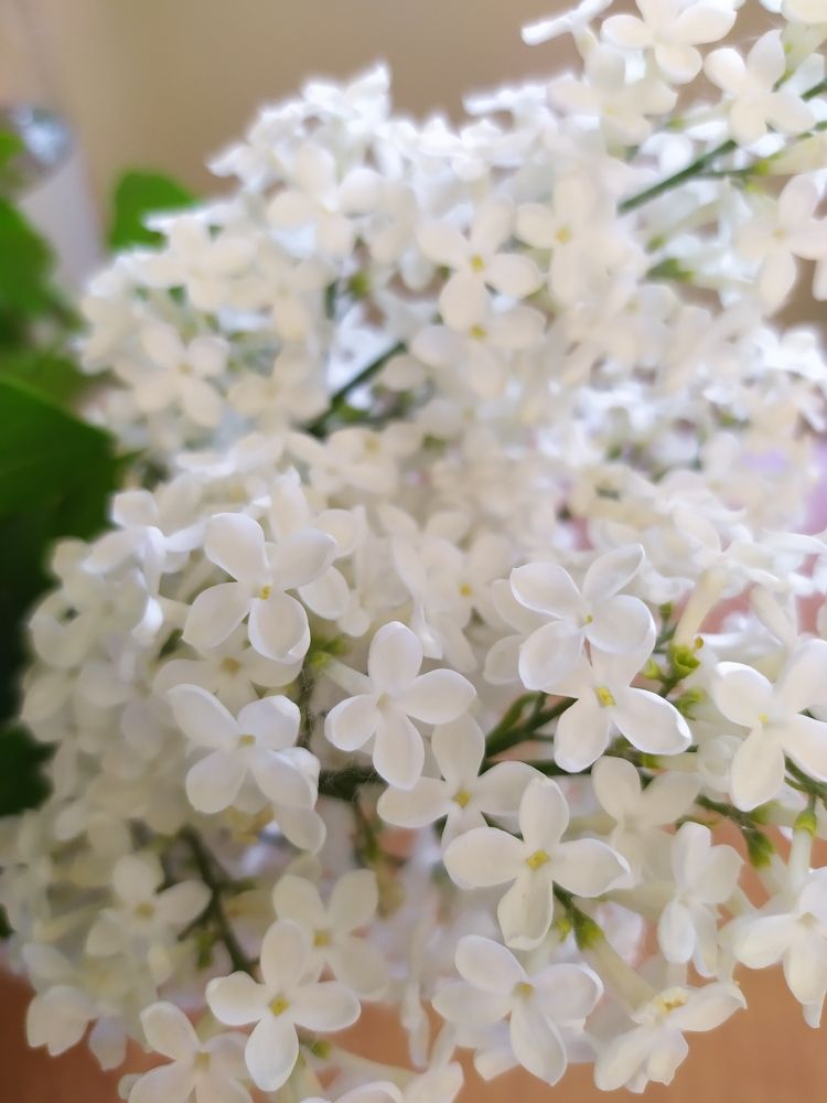 Photograph by Татьяна Клемба