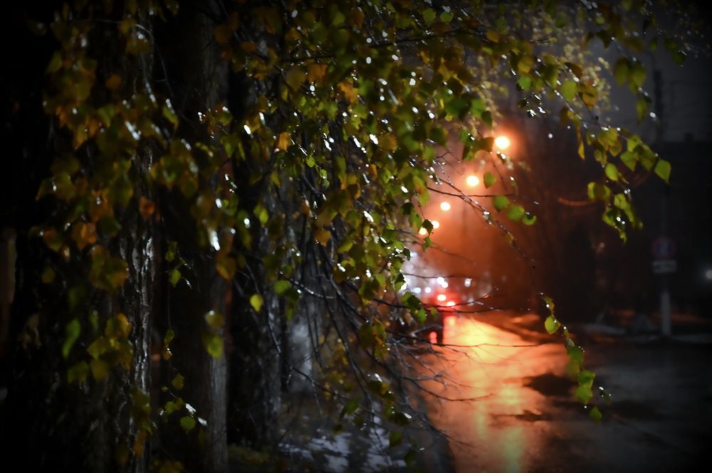 Фотография автора Ковяк Сергей Васильевич