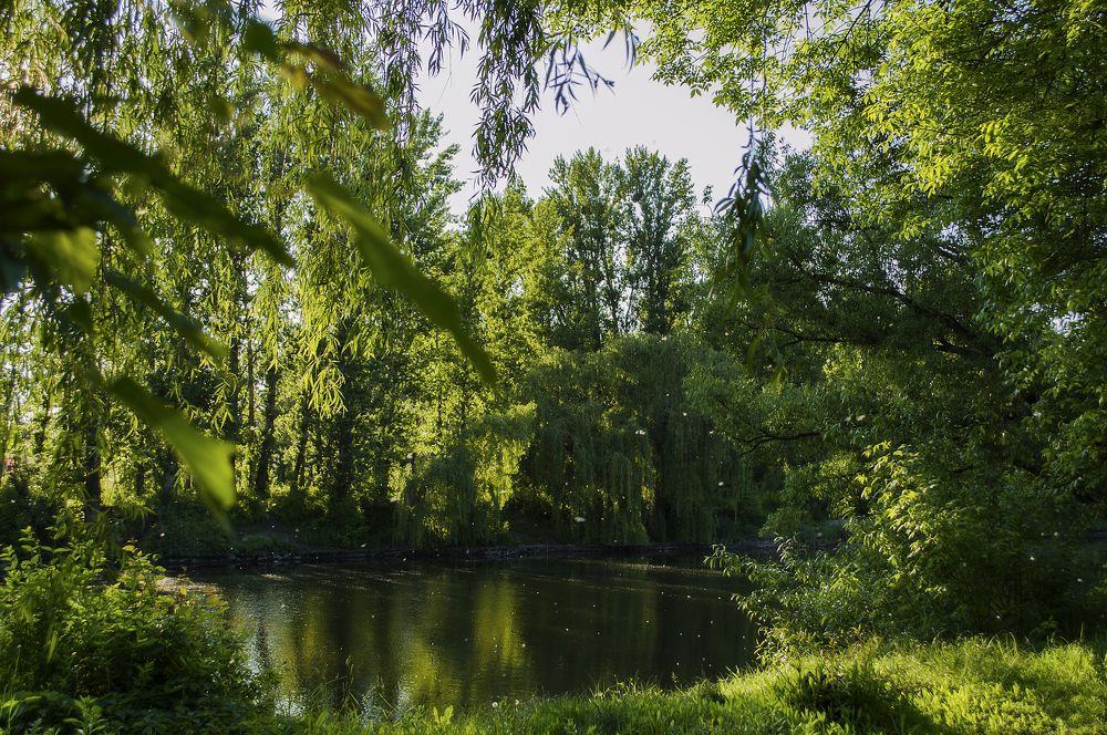 Photograph by Светлана Мельник