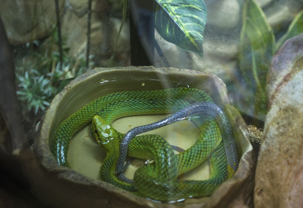 Photograph by Светлана Мельник