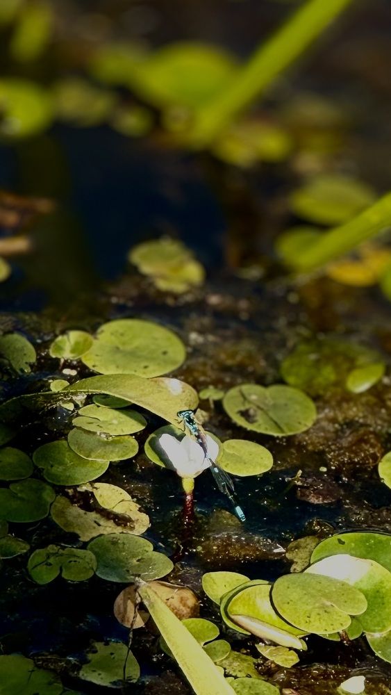 Photograph by Mariia Voloshina