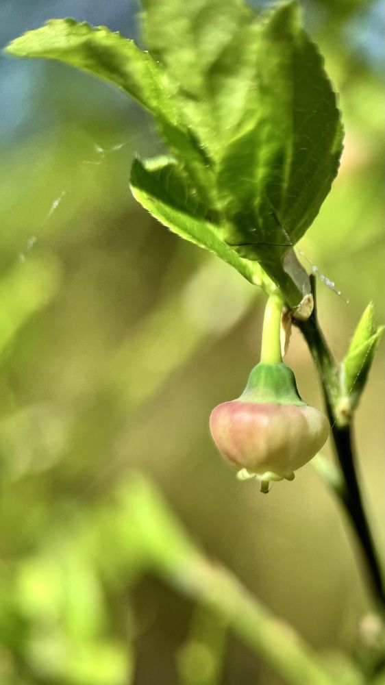 Photograph by Mariia Voloshina