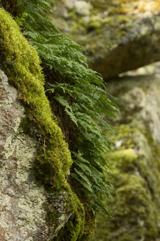 Фотография автора Александр Собокарь