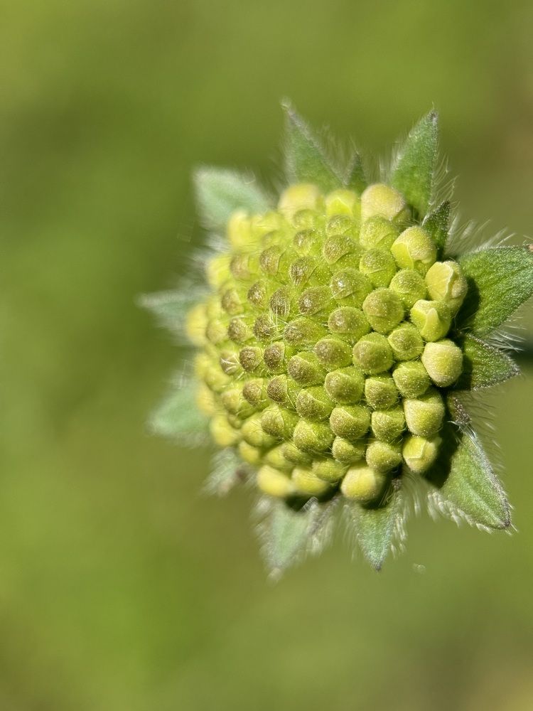 Photograph by Mariia Voloshina