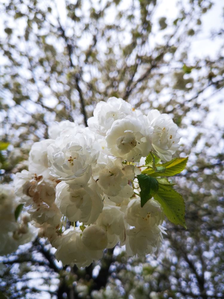 Фотография автора Julia