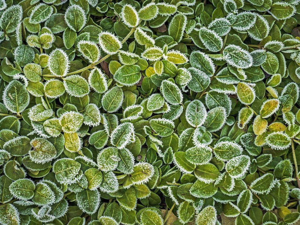 Photograph by Davide Poletto