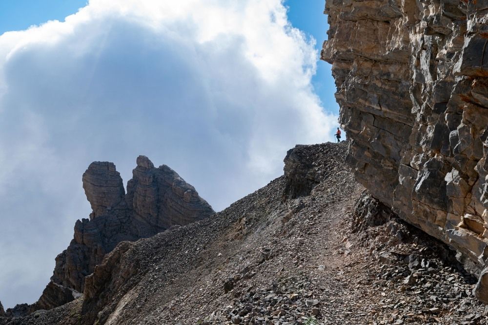 Фотография автора Van Gross