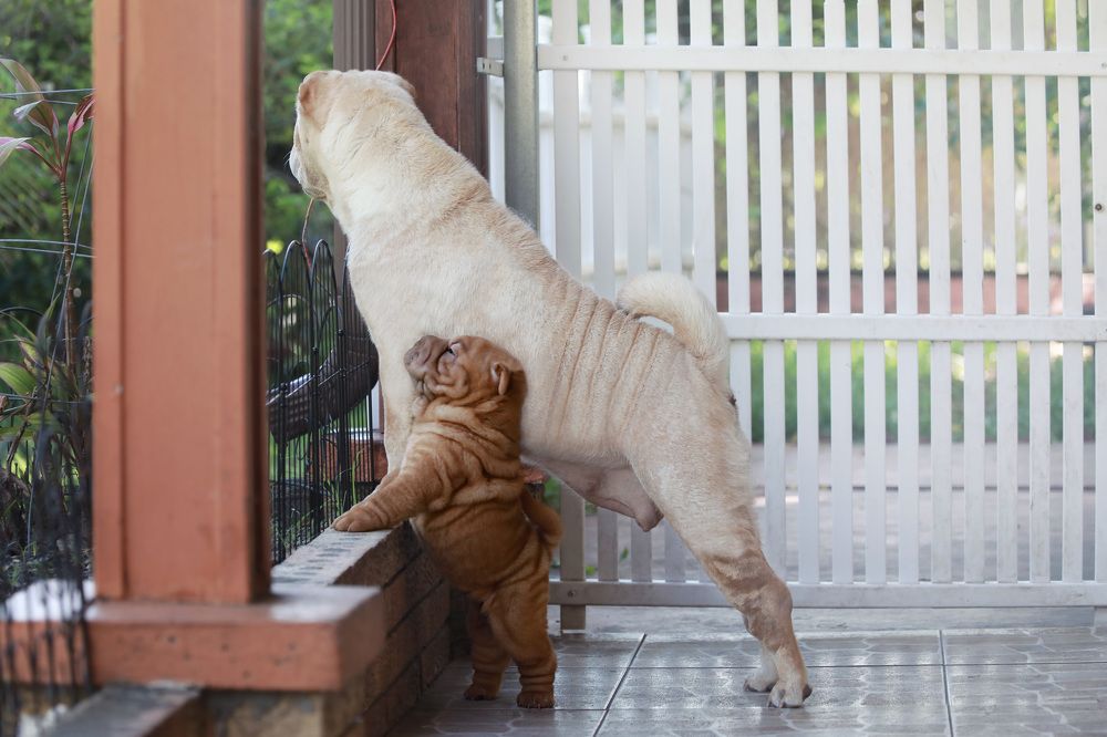 Фотография автора Татьяна Анпилова