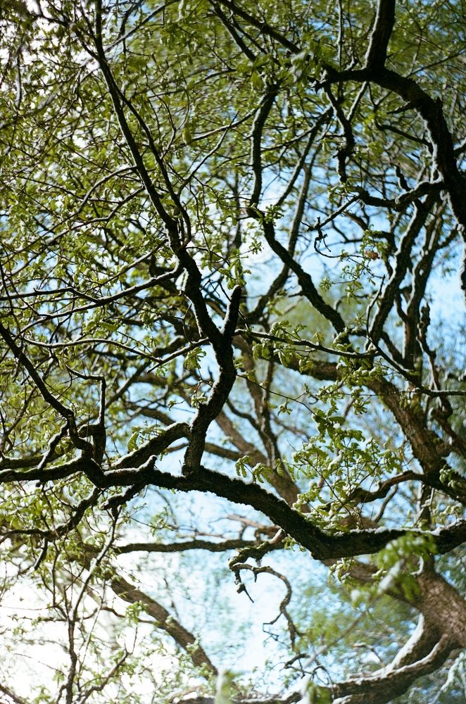 Photograph by Nadincca
