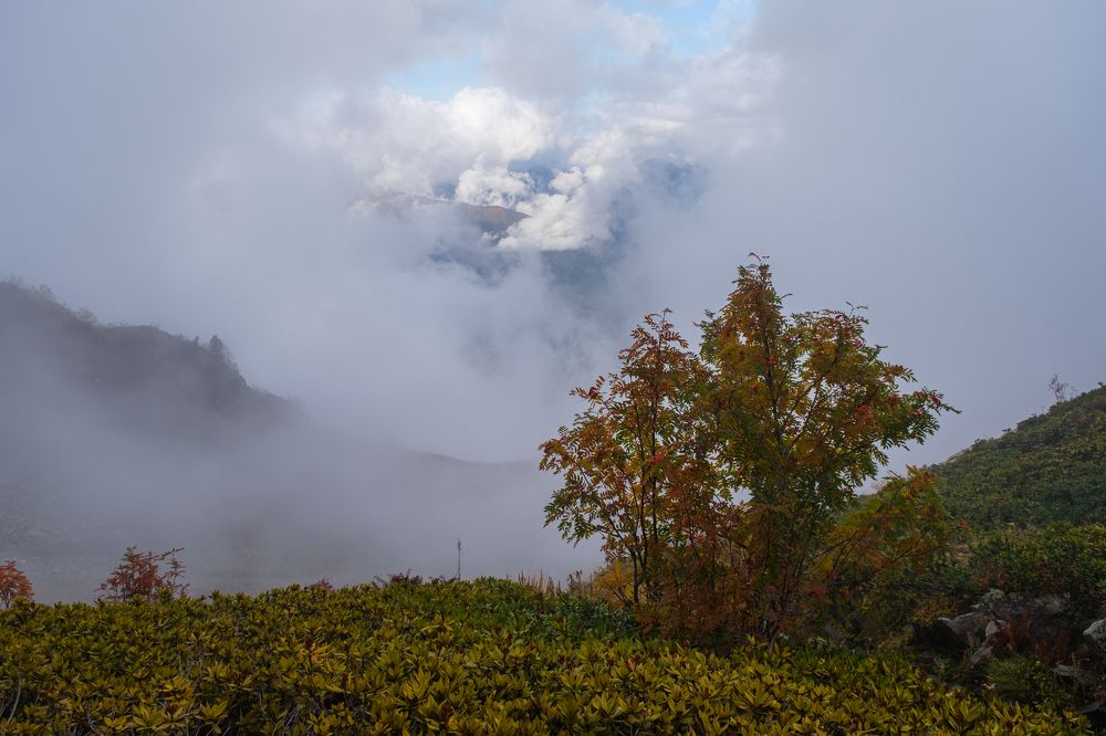 Photograph by Ирина Толокновская