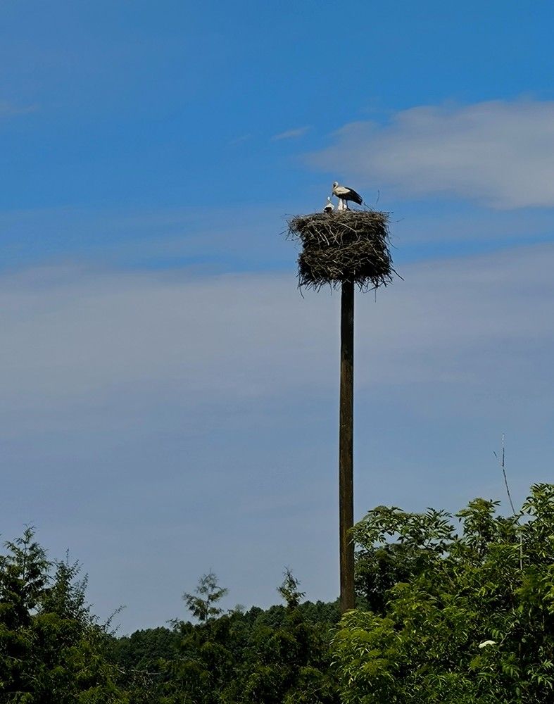 Photograph by Татьяна Яцкевич