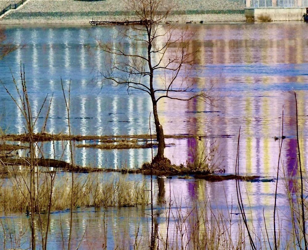 Photograph by Татьяна Шитлина