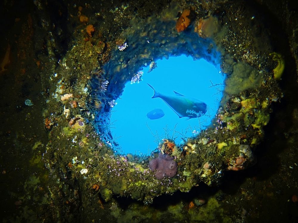 Photograph by Кирилл Леднев