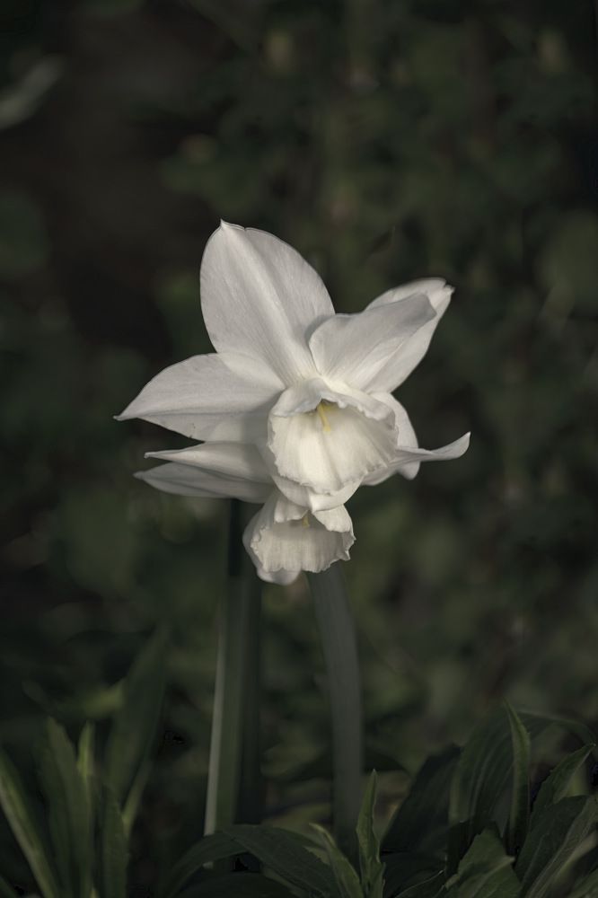Photograph by Dina Garipova