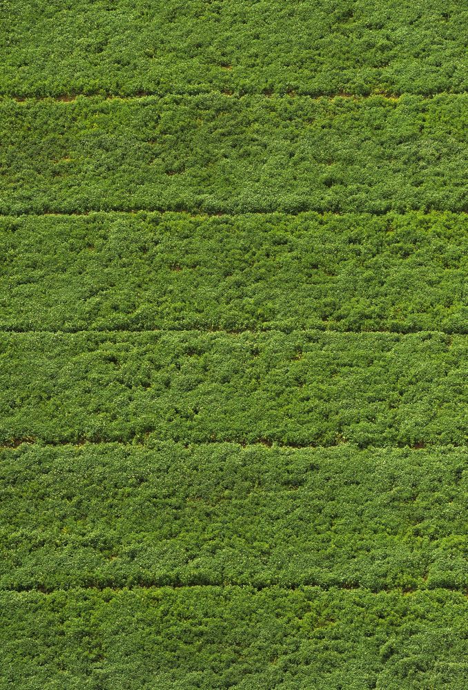 Photograph by Kaouche Mohamed