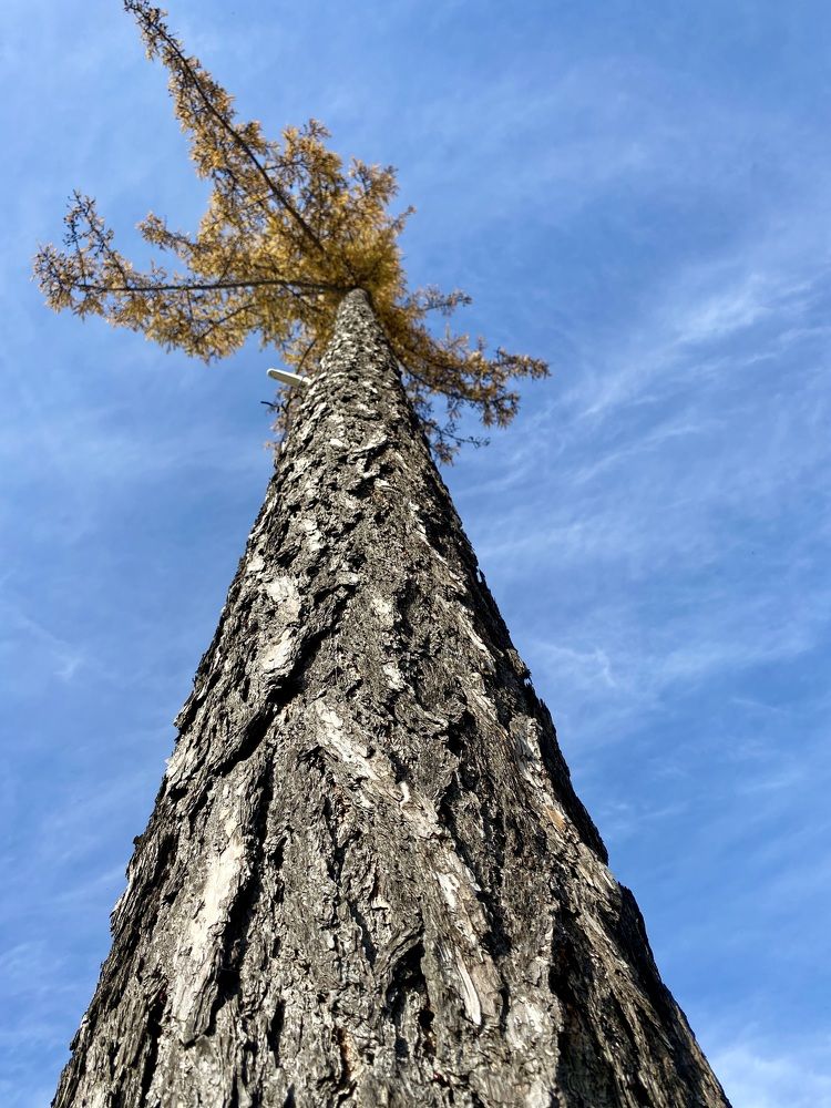 Photograph by Татьяна Шитлина