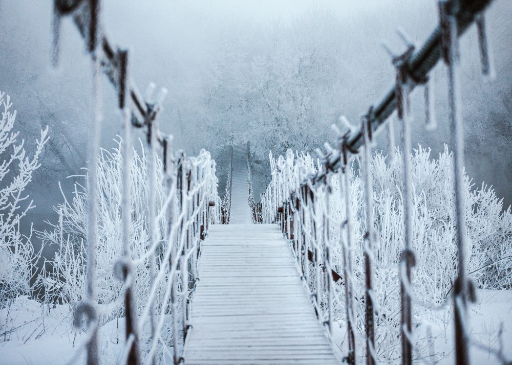 Photograph by Игорь Васильев