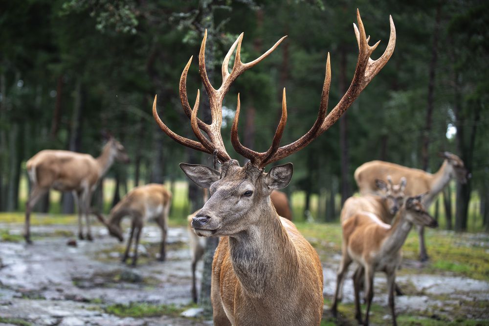 Photograph by Amirkrb